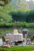 Idyllic table setting by the river with cat and bird statue