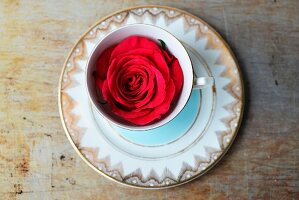 A red rose inside a blue and gold patterned vintage teacup