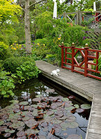 Wooden bridge over pond with water lilies