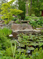 Pond in summer garden