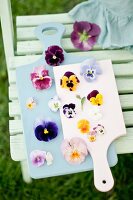 Various violas and pansies on two wooden boards