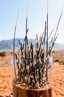 'Dune Camp' in Wolwedans, NamibRand Privatreservat, Namibia, Afrika - Stachelschweinborsten im Glas als Dekoration