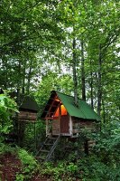 Holzhaus im Wald