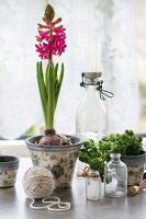 Hyacinth, herbs, bottles and ball of yarn on kitchen table