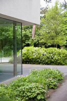 Corner of modern glass façade and planted beds on terrace in front of mature trees