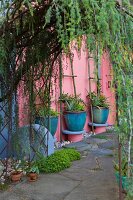 Blue planters in Mediterranean courtyard