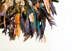 Dyed feathers