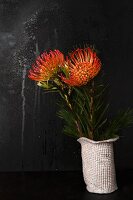 Exotic protea flowers in white china vase
