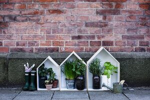 Herb plants in small, decorative wooden houses against brick wall
