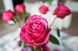 Pinkfarbene Rosen als Tischdekoration für die Hochzeit