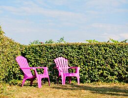 Two pink plastic garden chairs against hedge in corner of garden
