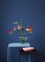 Elegant, tropical flowers (Gloriosa and mini flamingo flowers) in a bellied vase
