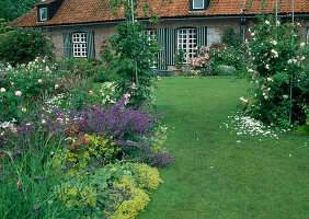 Lawn path leads through rose arch with roses to the house, bed with Alchemilla, Nepeta