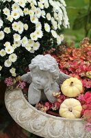 Stone cherub and ornamental squashes in planter of October Daphne
