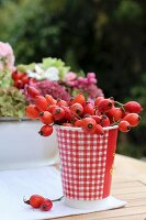Rose hips in red and white gingham-patterned paper cup