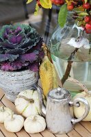 Autumnal arrangement of ornamental cabbage, corn cobs and squashes