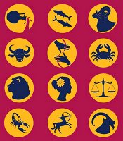Twelve signs of the zodiac