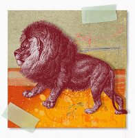 Montage of zodiac Leo