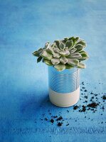 A painted tin can used as a flower pot
