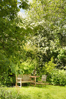 Wooden bench, table and folding chair in garden in early summer