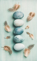 Row of blue-painted Easter eggs and feathers on blue surface