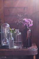 Glass cover and flowers in glass bottles