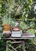 Old wooden planting table in mature, natural-style garden