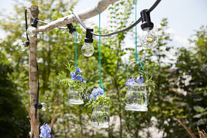Hanging glass vases with blue flowers on a branch in the garden