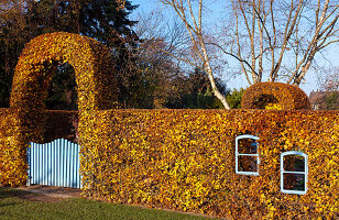 Autumn beech hedge with window and garden gate (Kreislehrgarten, Steinfurt, Germany)