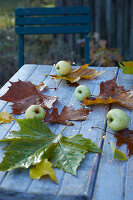 Autumn leaves and green apples on garden table