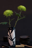 Green chrysanthemums in a black and white vase against a dark background