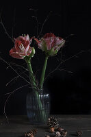Bouquet with amaryllis and twigs