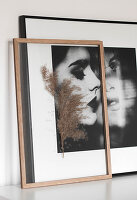 Gepresster Pflanzenzweig im Glasrahmen vor gerahmtem Portraitfoto einer Frau