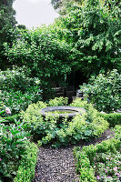 Birdbath in round bed of lady's mantle