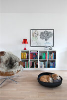 Dog in basket and leather easy chair with fur blanket in front of bookcase