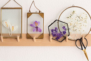 Pressed spring flowers in glass frames