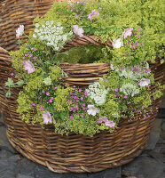 Wreath of lady's mantle, mallows, Queen Anne's lace and gypsophila hung on basket handle