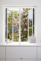 Window with garden view above the white kitchen cabinets