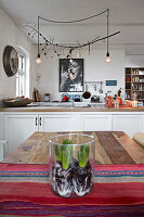 Hyacinth bulbs in glass jar on dining table, kitchen in background
