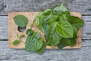 Green Basella alba or Malabar spinach leaves on cutting board on grey wood top
