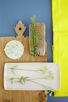 Bladder campion, narrowleaf pepperweed and wild carroway