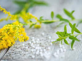 Goldenrod on a wooden background