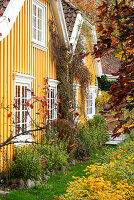 Houses with yellow painted wood paneling and autumnal front garden