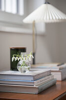 A small glass vase of snowdrops on a stack of coffee-table books