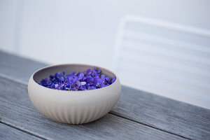 Bowl with violet flowers