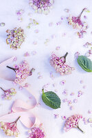Hydrangea flowers, leaves and ribbon
