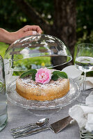 Set coffee table in the garden with rhubarb cake under glass cloche