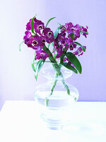 Purple orchids in glass vase
