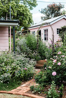 Flower garden with rose bed, pink-painted wooden house in the background
