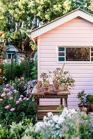 Rustic planting table in flowering garden with pink wooden house